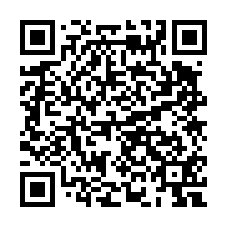 QR code for XGK 411