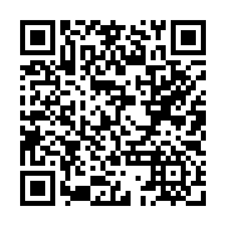 QR code for XGL 197