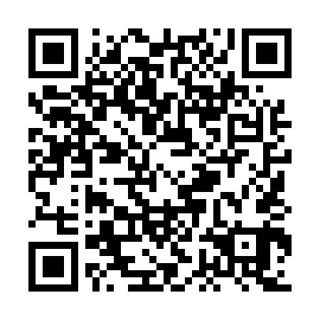QR code for plate XGL 541