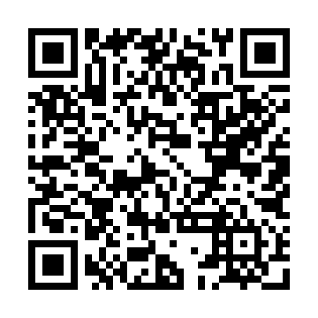 QR code for XGM 394
