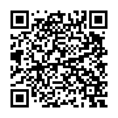 QR code for XGP 463