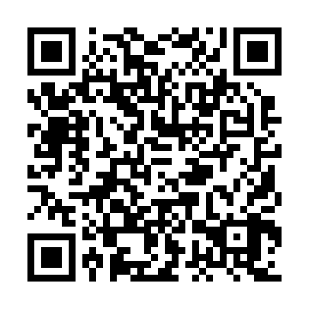 QR code for plate XGQ 208