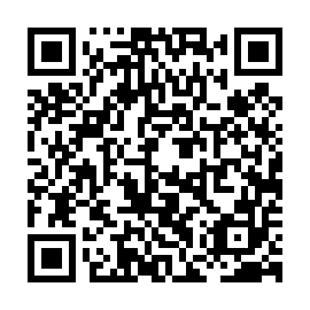 QR code for plate XGT 452