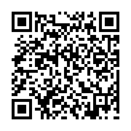 QR code for XGV 954