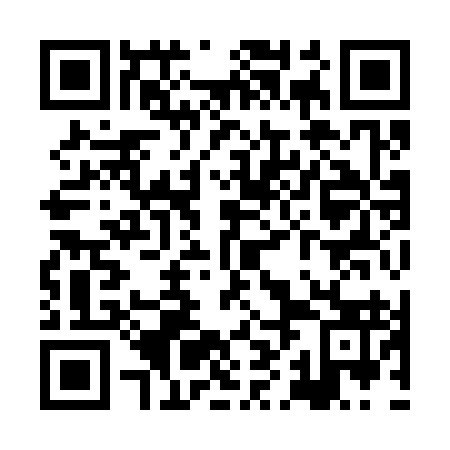 QR code for XHI 393