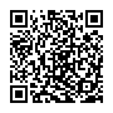 QR code for plate XHJ 598
