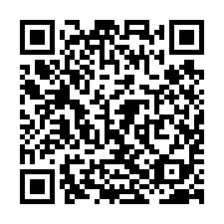 QR code for plate XHQ 699