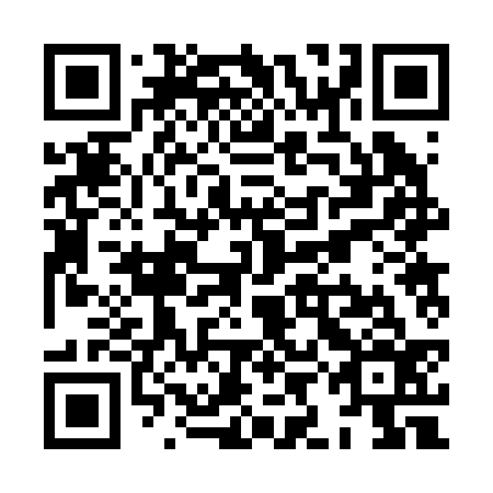 QR code for plate XIB 236