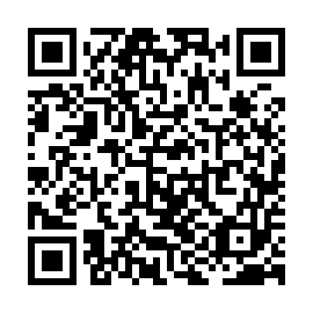 QR code for plate XIF 953