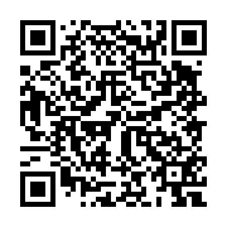 QR code for XIX 451