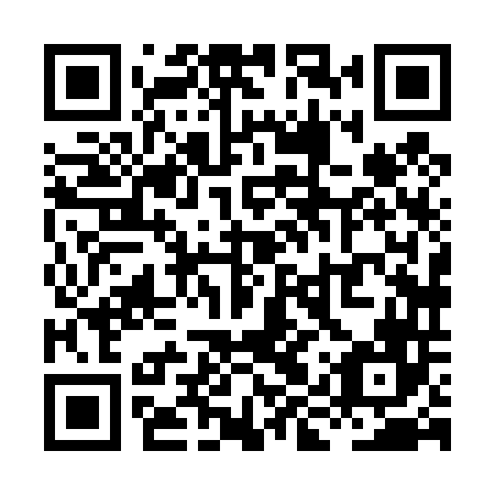 QR code for XIX446