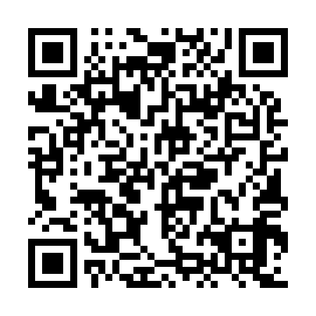 QR code for plate XJE 919