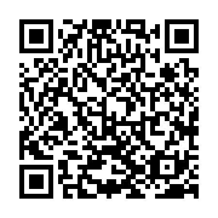 QR code for XJX331