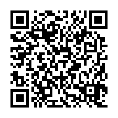 QR code for XKQ384