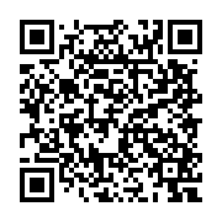 QR code for plate XKX 541