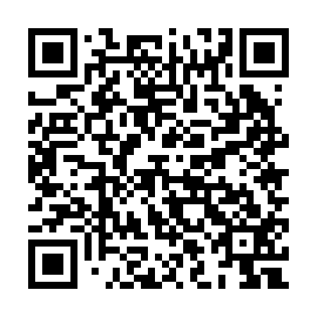 QR code for plate XLE 213