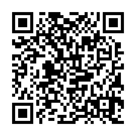 QR code for plate XLE 234