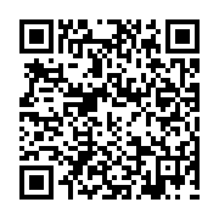 QR code for plate XLE 336