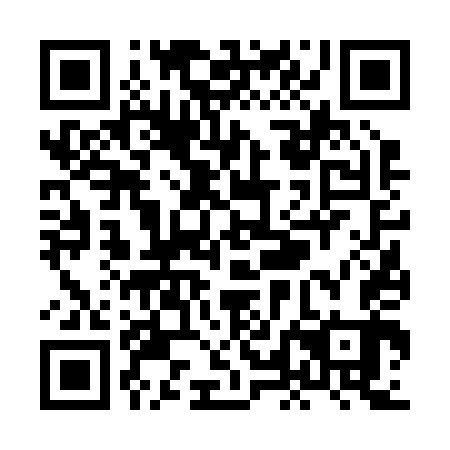 QR code for XLF 243