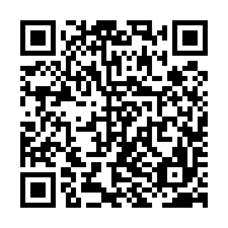 QR code for XLF 596