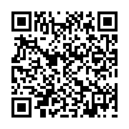 QR code for XLH 382