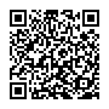 QR code for plate XLQ 519