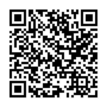 QR code for XLR 291