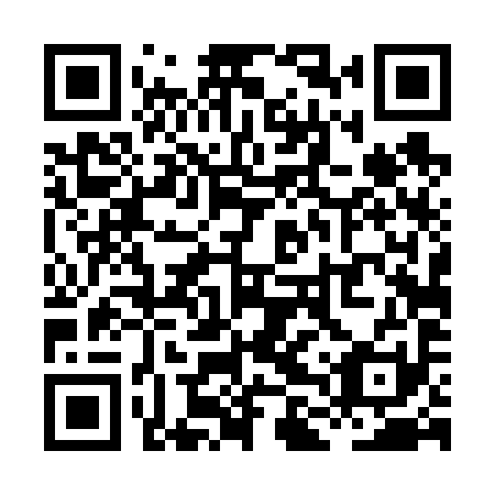 QR code for plate XLT 691