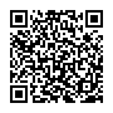 QR code for XLT993