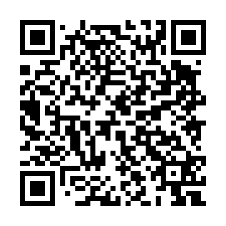 QR code for plate XLX 420