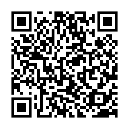 QR code for plate XML 038