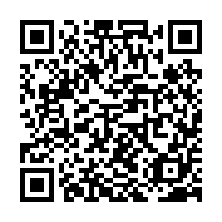 QR code for XMV 250