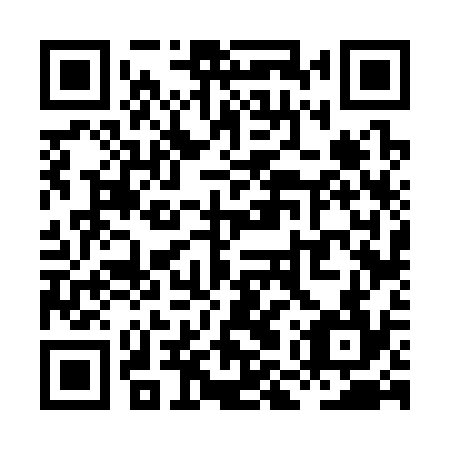 QR code for plate XMV 334
