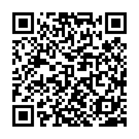QR code for plate XMX 431