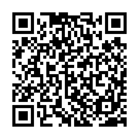 QR code for plate XNB 617