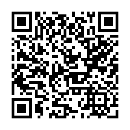 QR code for XNP 333