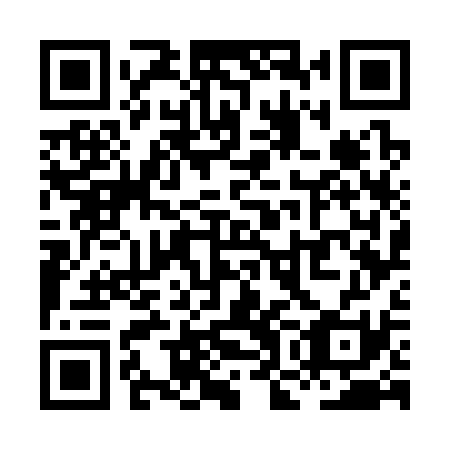 QR code for XOG 331