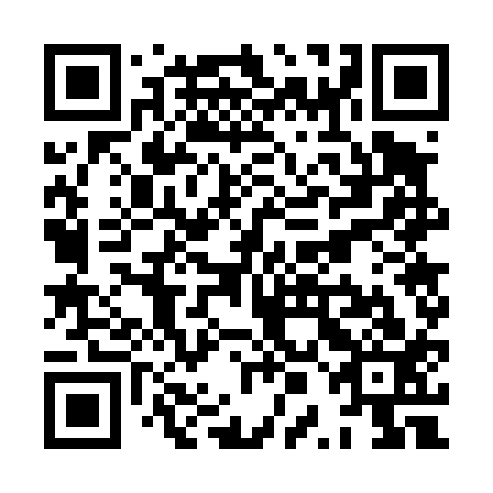 QR code for plate XPG 413