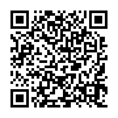 QR code for XPI217