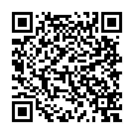 QR code for plate XPM 519