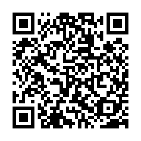 QR code for XPQ 509