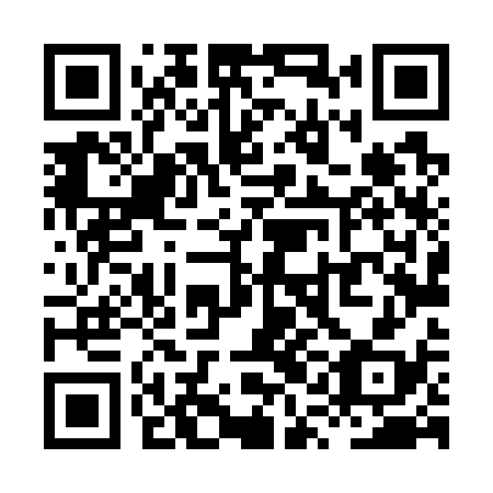 QR code for XQL 738