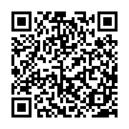QR code for plate XQP 203