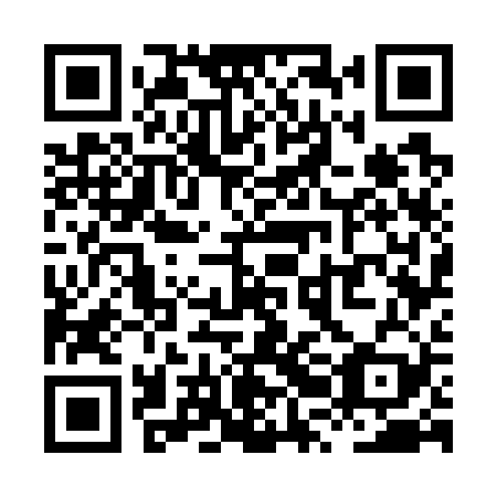 QR code for plate XRG 729