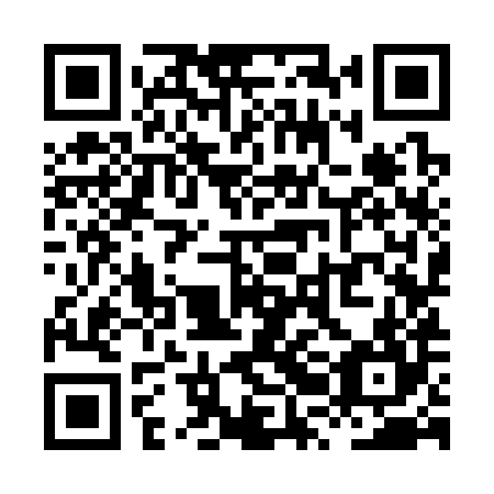 QR code for XRK 384
