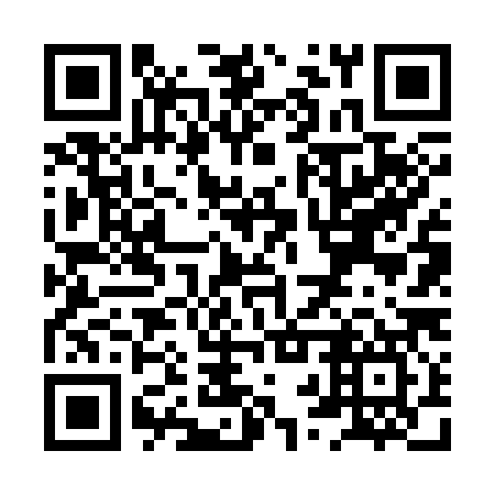 QR code for XRV387