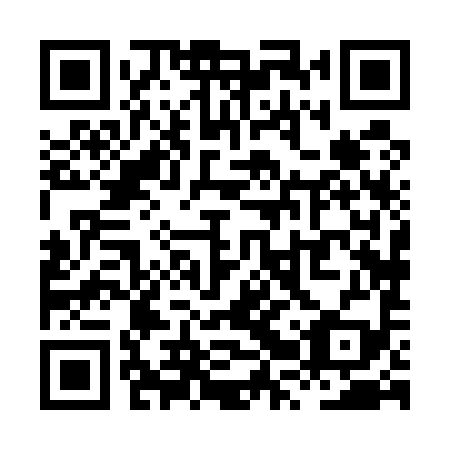 QR code for XRX599