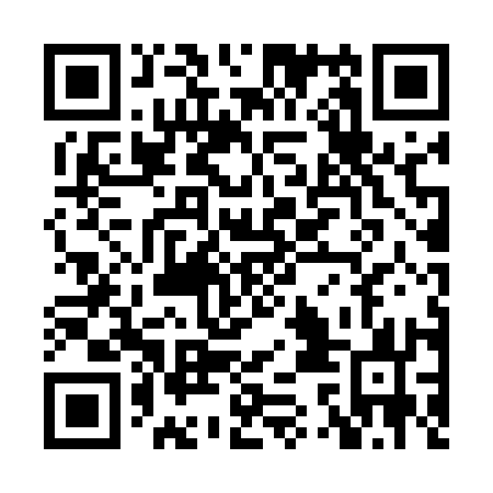 QR code for plate XSD 513