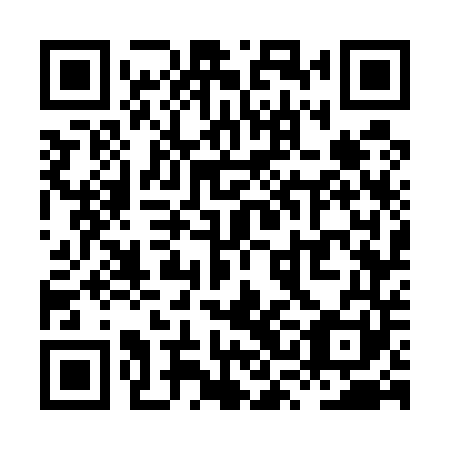 QR code for XSG 541