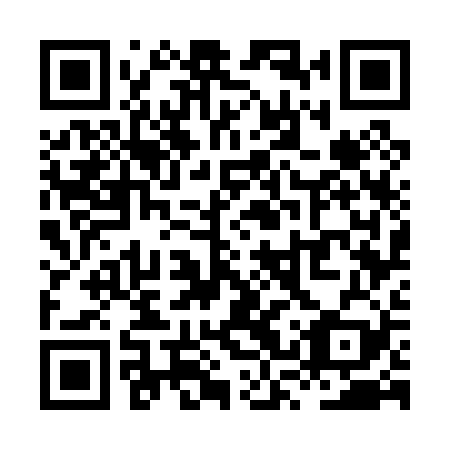 QR code for XSW 029